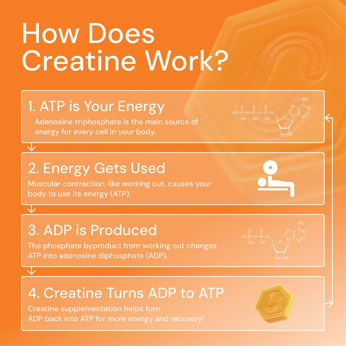 Core - Create Creatine Monohydrate Gummies