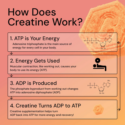 Core - Create Creatine Monohydrate Gummies