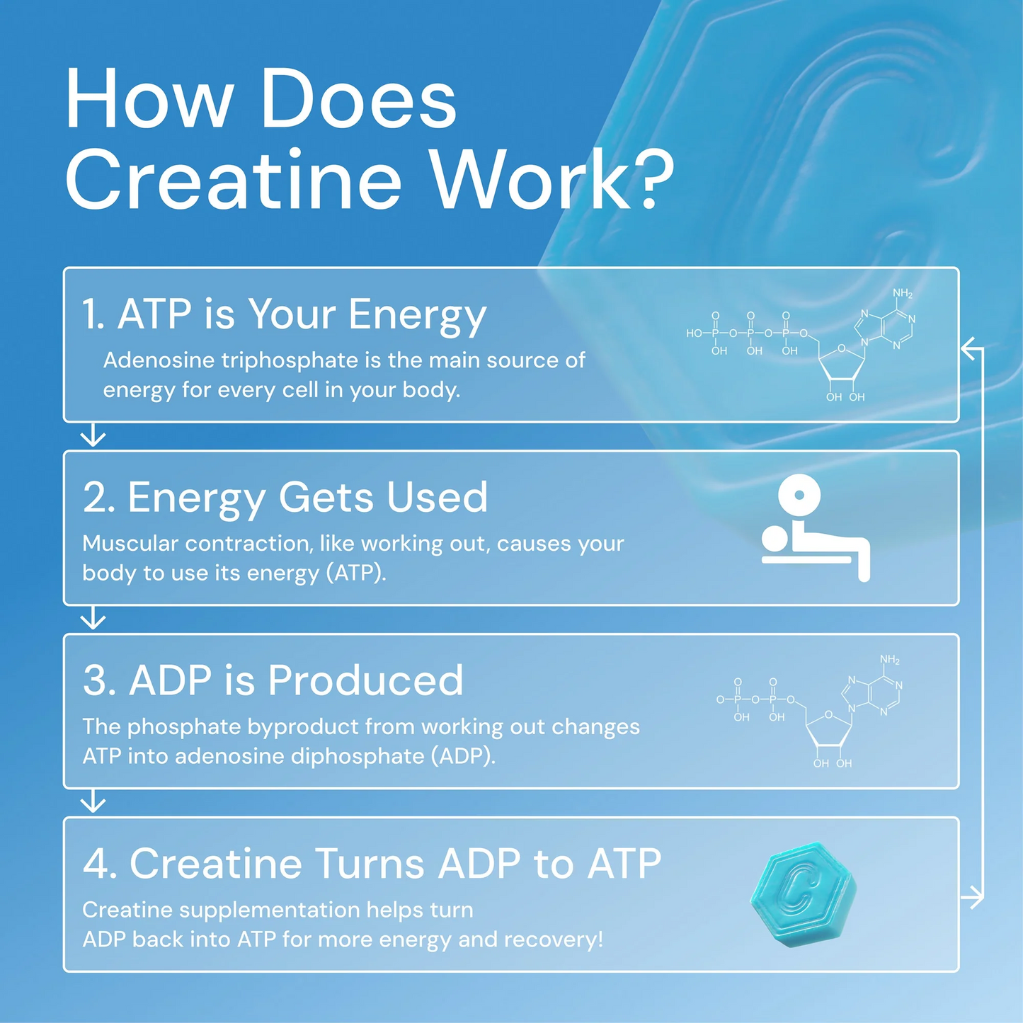 Core - Create Creatine Monohydrate Gummies