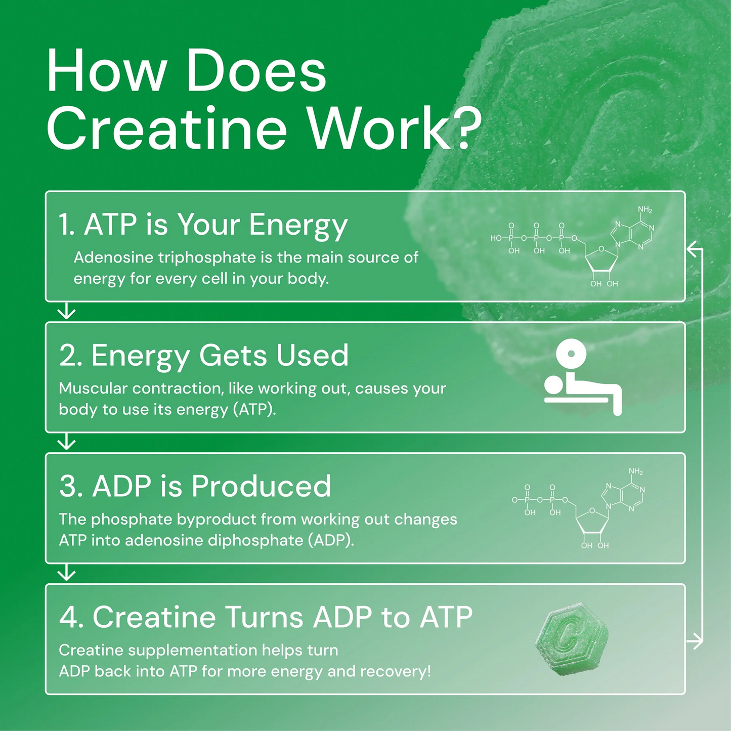 Core - Create Creatine Monohydrate Gummies