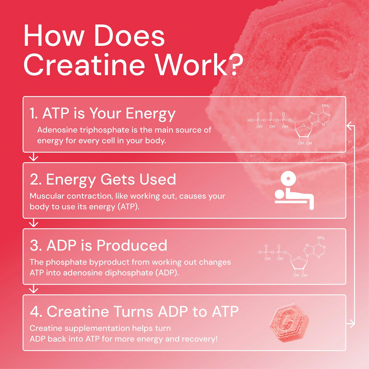 Core - Create Creatine Monohydrate Gummies