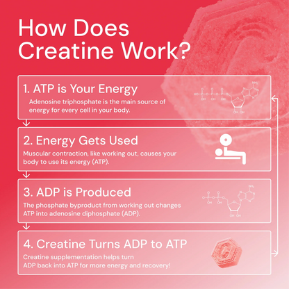 Core - Create Creatine Monohydrate Gummies